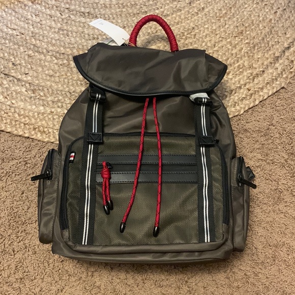 Brand new gorgeous mouflon backyard